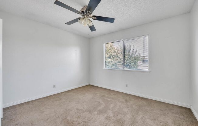 2 beds, 1 bath, $1,600