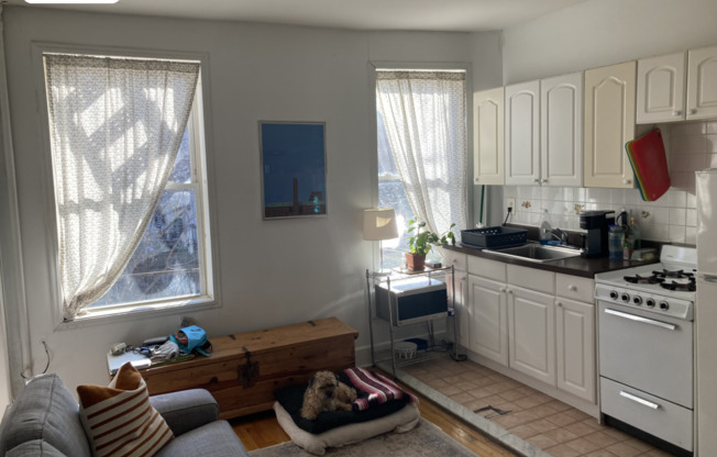 257 ADELPHI ST