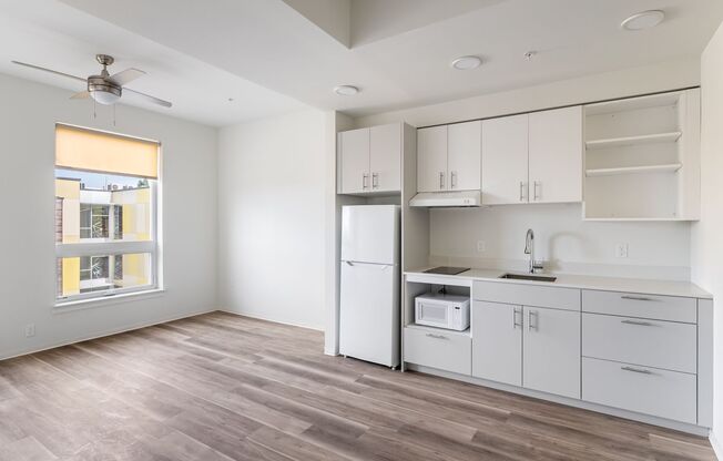 Studio, 1 bath, 309 sqft, $1,175, Unit 313