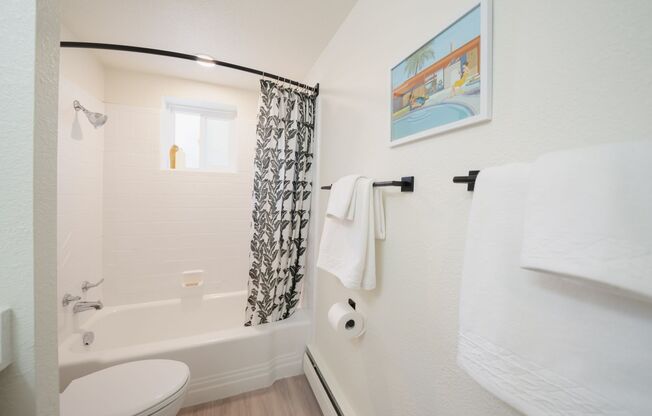 Studio, 1 bath, 445 sqft, $1,099, Unit 507