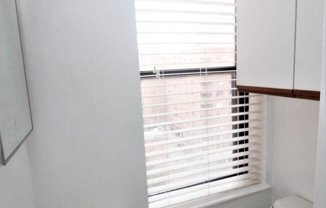 Studio, 1 bath, $900