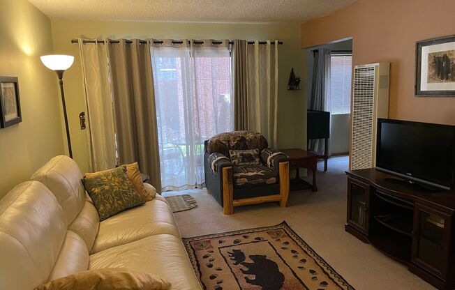 Furnished Condo in Great Location - Long Term Rental - Available Now