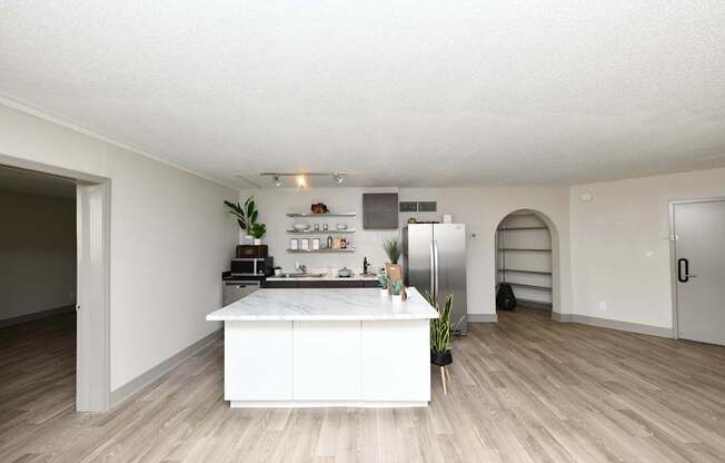 A kitchen with a white countertop and a plant on it.