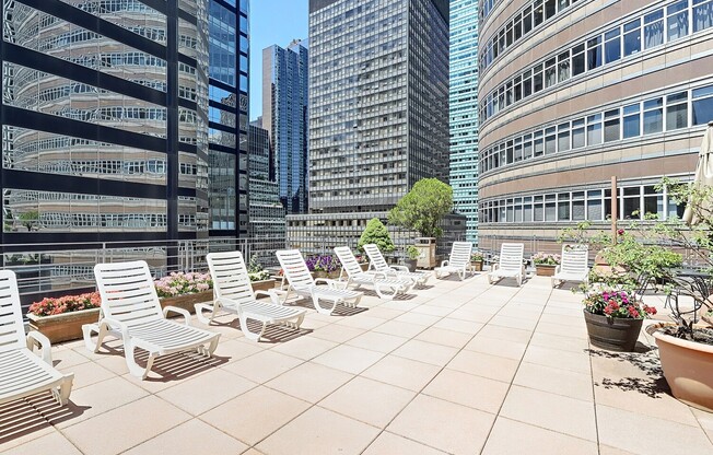 1 bed, 1 bath, $4,500, Unit 3M