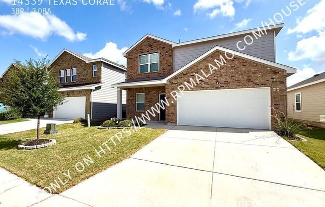 14339 TEXAS CORAL