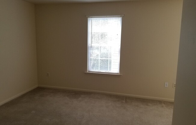 2 beds, 1 bath, $1,595