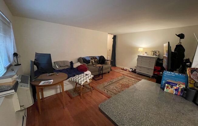 Studio, 1 bath, 390 sqft, $1,400, Unit 521-209