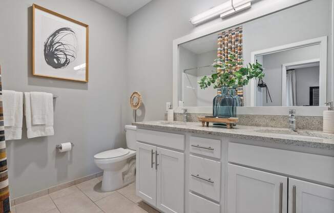 a bathroom with a toilet and a sink and a mirror at Barclay Chase Apartment Homes, Marlton