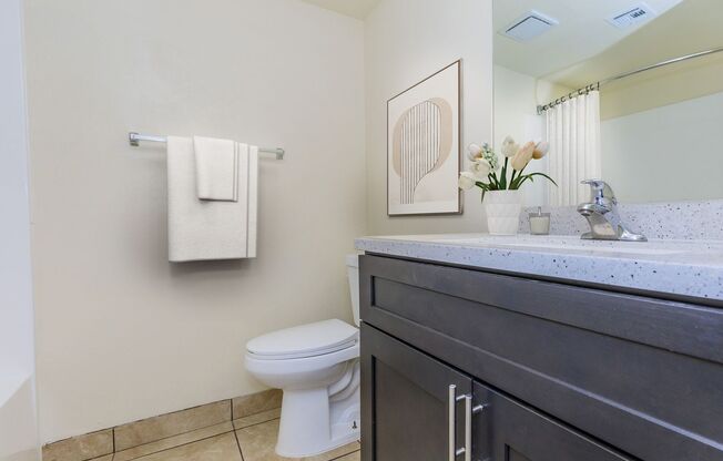 2 beds, 2 baths, 880 sqft, $1,330, Unit 2003