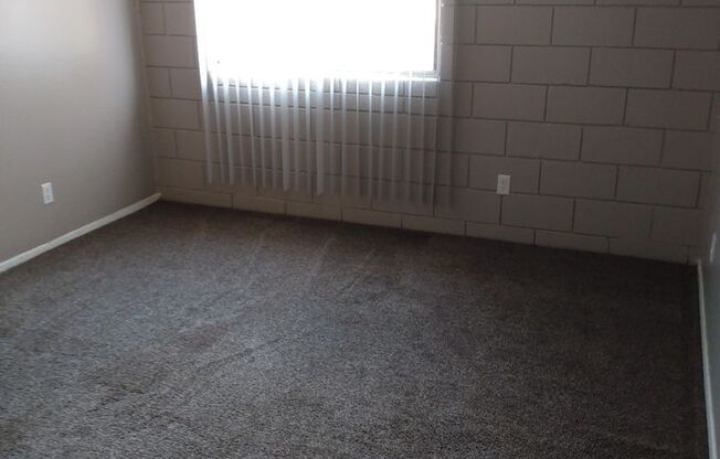 Studio, 1 bath, 328 sqft, $925, Unit 247