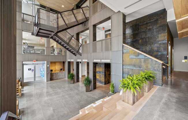 A modern interior with a staircase and a plant.