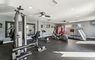 Lucera Apartments Homes