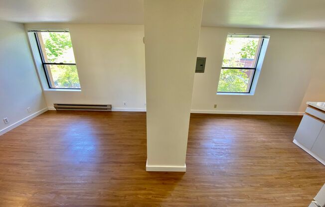 Studio, 1 bath, 413 sqft, $1,295, Unit 310