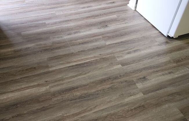 1 bed, 1 bath, 495 sqft, $795, Unit 5755-2