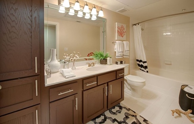 Stonewood Apartments Bathroom | Hosuton,TX Apartments | 1-2 Apartments in Houston