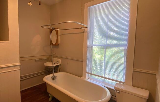 Studio, 1 bath, 500 sqft, $1,075, Unit 8