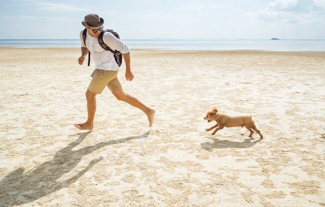 The Summit at Point Loma_San Diego_person walking on beach with a dog