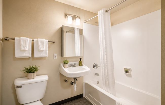 Studio, 1 bath, 350 sqft, $1,345, Unit 329 Loft