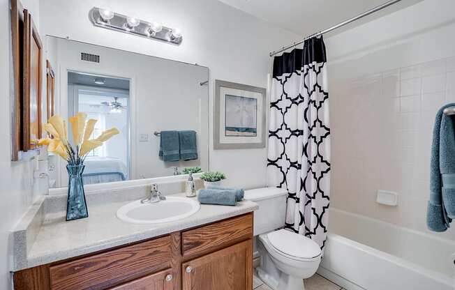Large Bathroom Vanity and Shower with Tub