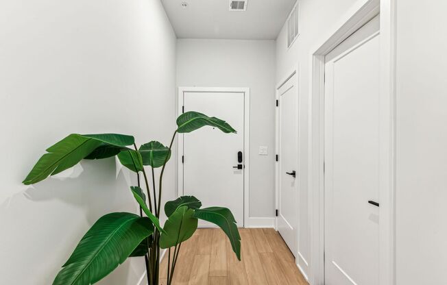 1 bed, 1 bath, 675 sqft, $1,675, Unit 202