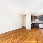 Studio, 1 bath, 300 sqft, $1,250