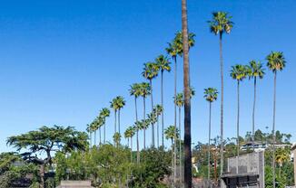 1 bed, 1 bath, 2,308 sqft, $5,600, Unit 232