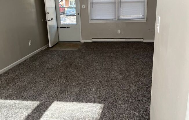 1 bed, 1 bath, 500 sqft, $1,134
