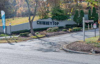 Welcome to Chimney Top