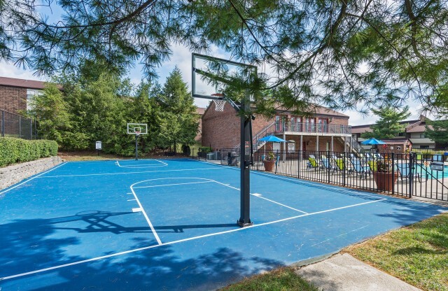 Community Basketball Court | Pinebrook Apartments