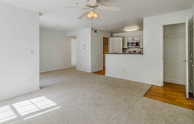 Carpeted Living Room