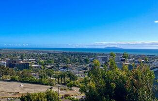 Hilltop