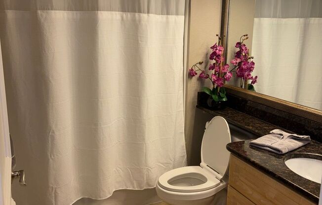 1 bed, 1 bath, $1,750, Unit 218