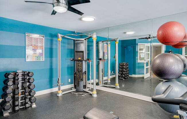 Weight Equipment in the Fitness Center