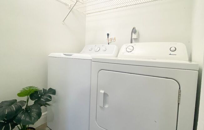 1 bed, 1 bath, 600 sqft, $1,350, Unit Unit 116