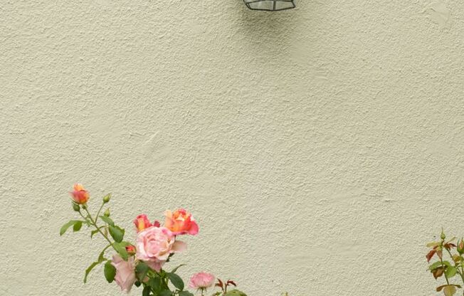 Studio, 1 bath, 425 sqft, $1,275, Unit 212