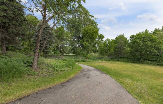 a path through a grassy area with trees on either side