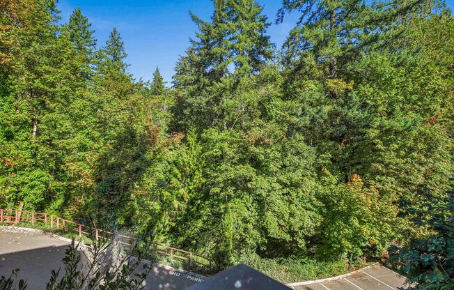 1 bed, 1 bath, 415 sqft, $1,325, Unit 760-55