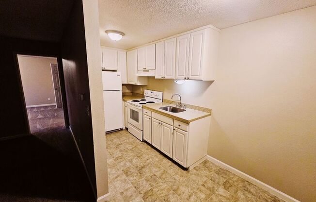 1 bed, 1 bath, 540 sqft, $1,249, Unit 3