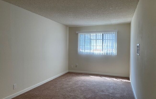 1 bed, 1 bath, $1,650