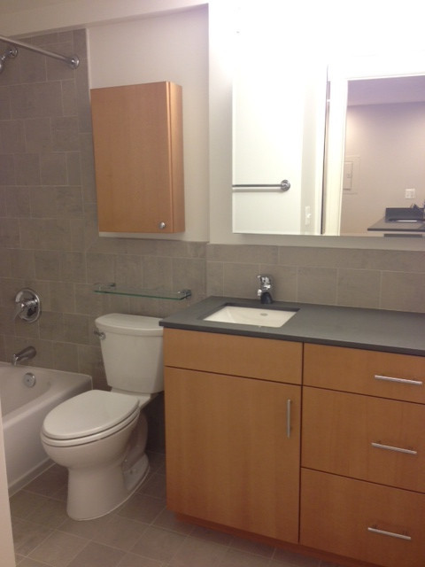 1 bed, 1 bath, $2,525, Unit 0318