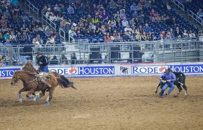 Houston Rodeo
