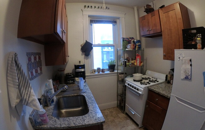 1 bed, 1 bath, $2,400, Unit 15