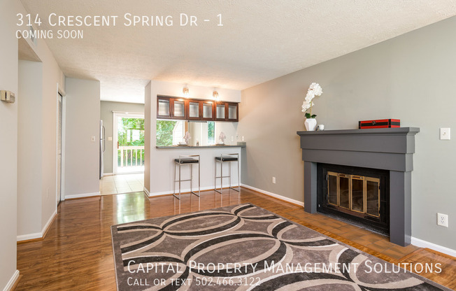 314 CRES SPG DR
