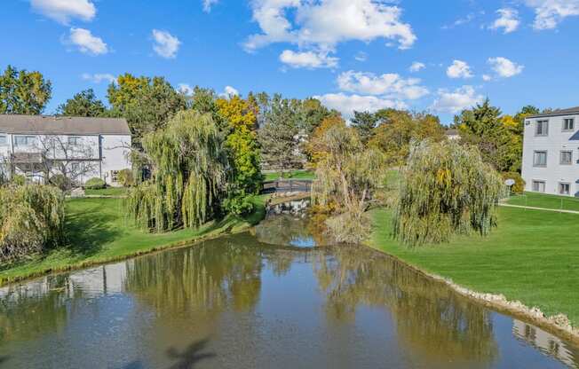 a view of a pond with trees and a building in the background