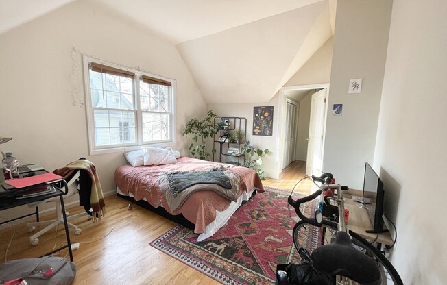 6 HARLESTON ST