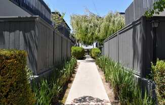 Landscaped walking path between units