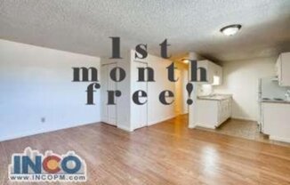 3160 West Louisiana Ave. #308