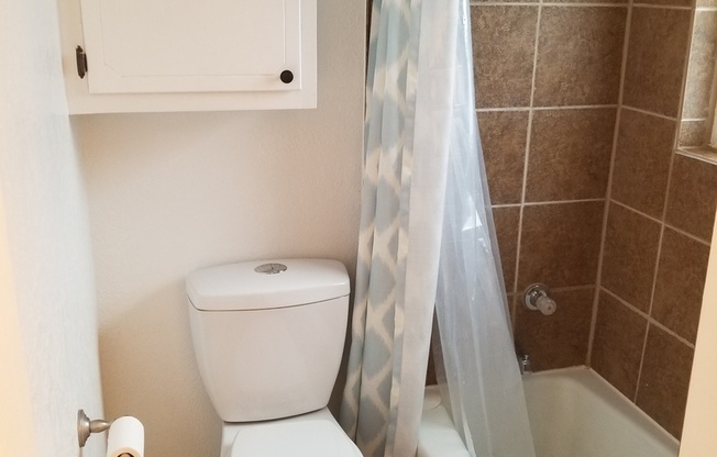 Updated 3 Bed 1 Bath House