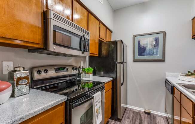 our apartments have a modern kitchen with stainless steel appliances