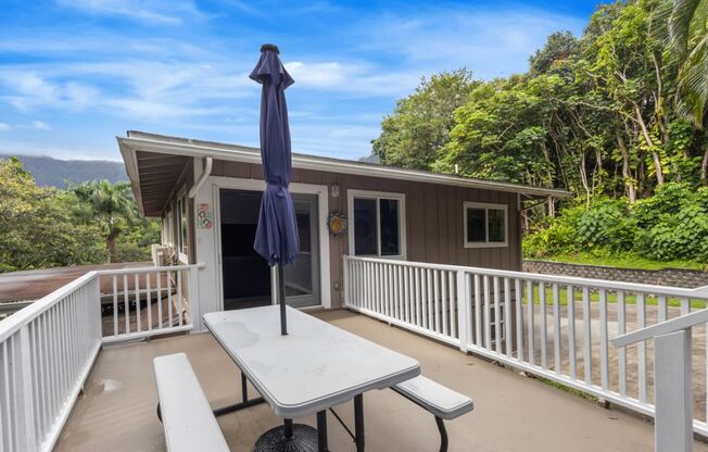Secluded Forest Retreat | Full Kitchen, AC, W/D
